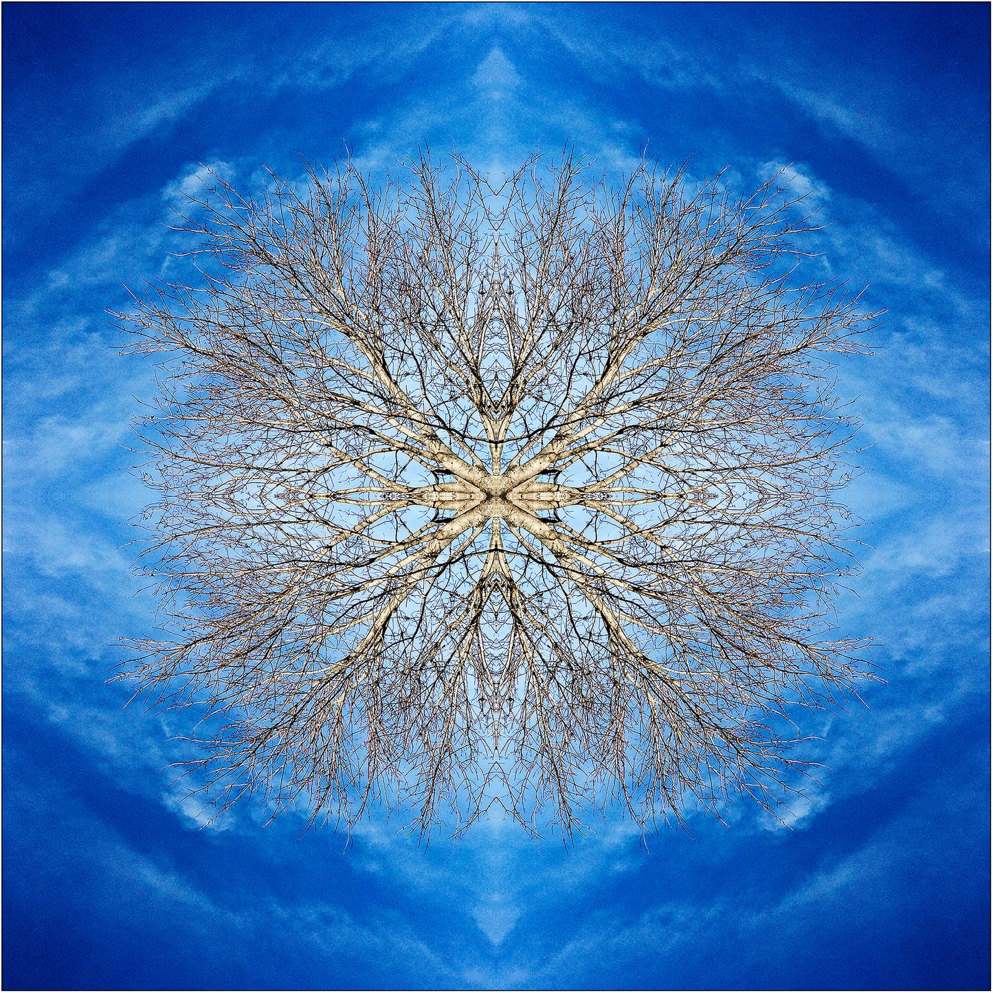 SkyWater