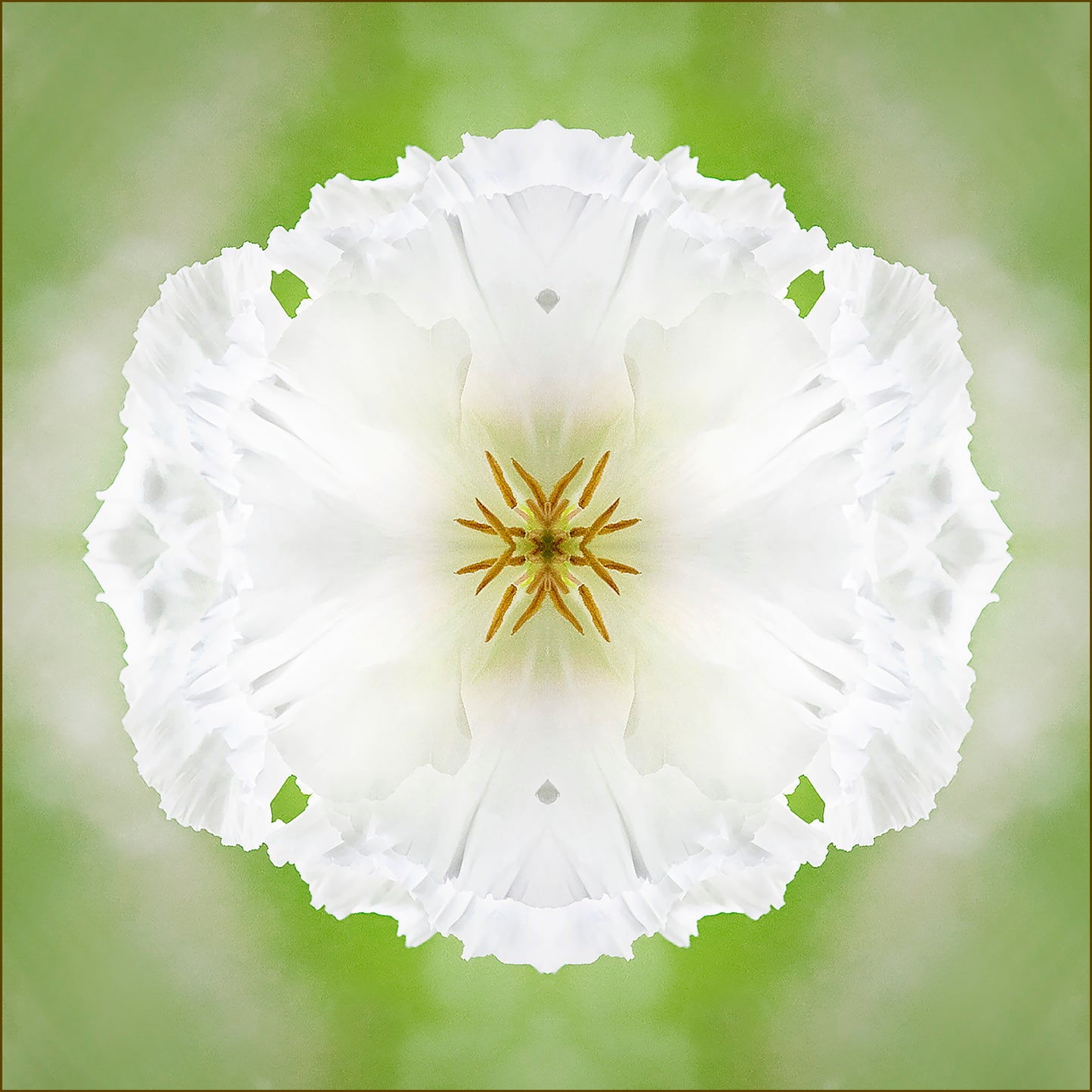 Minted Peony