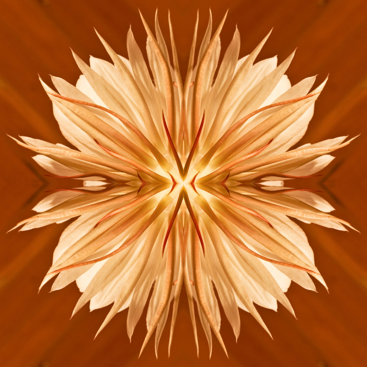 Cererust