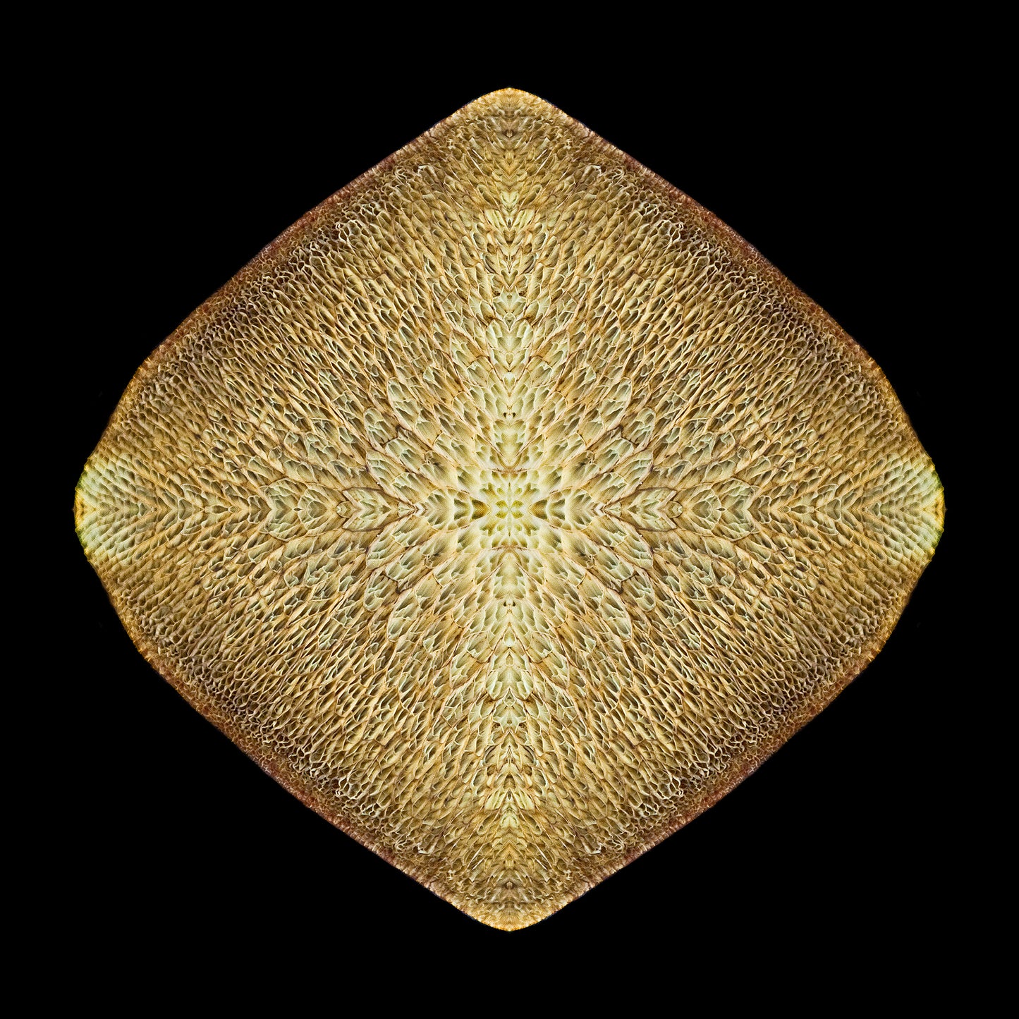 Golden Detail