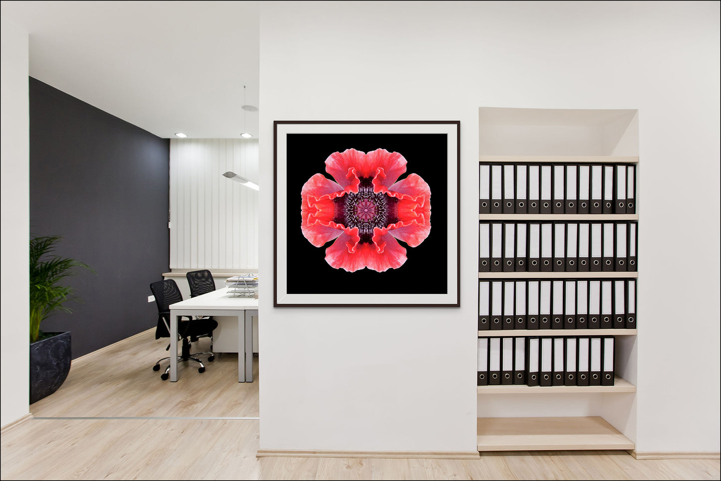 Claret Peony