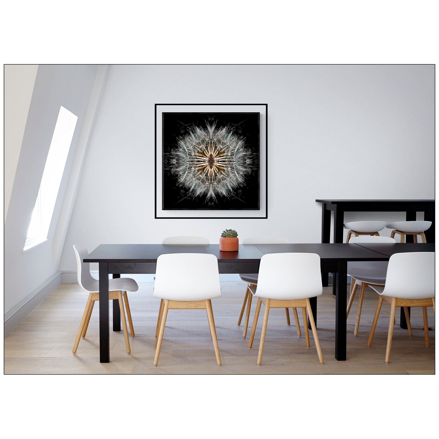 Dandelion